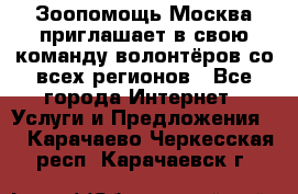 Зоопомощь.Москва приглашает в свою команду волонтёров со всех регионов - Все города Интернет » Услуги и Предложения   . Карачаево-Черкесская респ.,Карачаевск г.